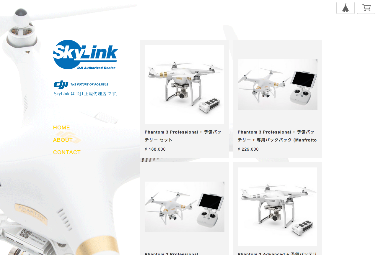 SkyLink Japan